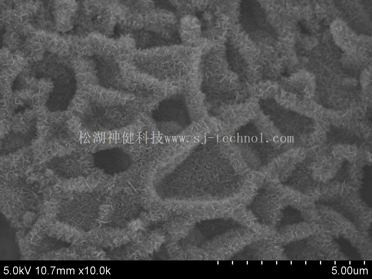 垂直石墨烯复合多孔碳